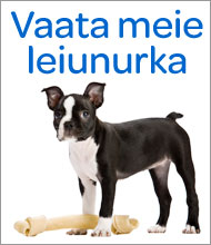 Leiunurk