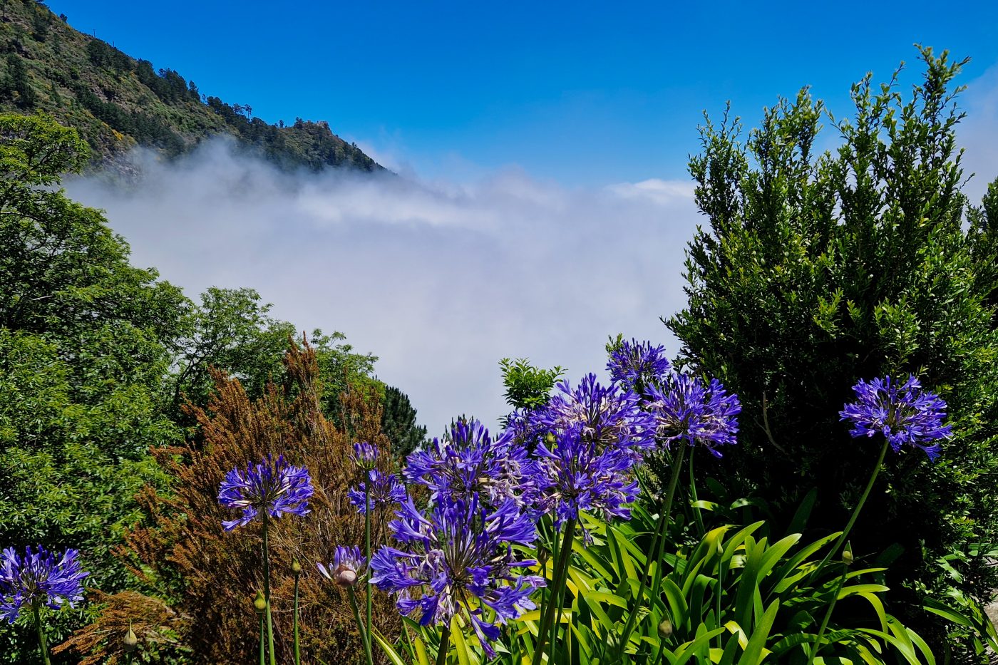 Eira do Serrado