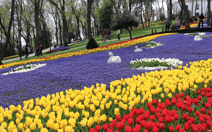 Foto: Hille Hanso, Istanbul