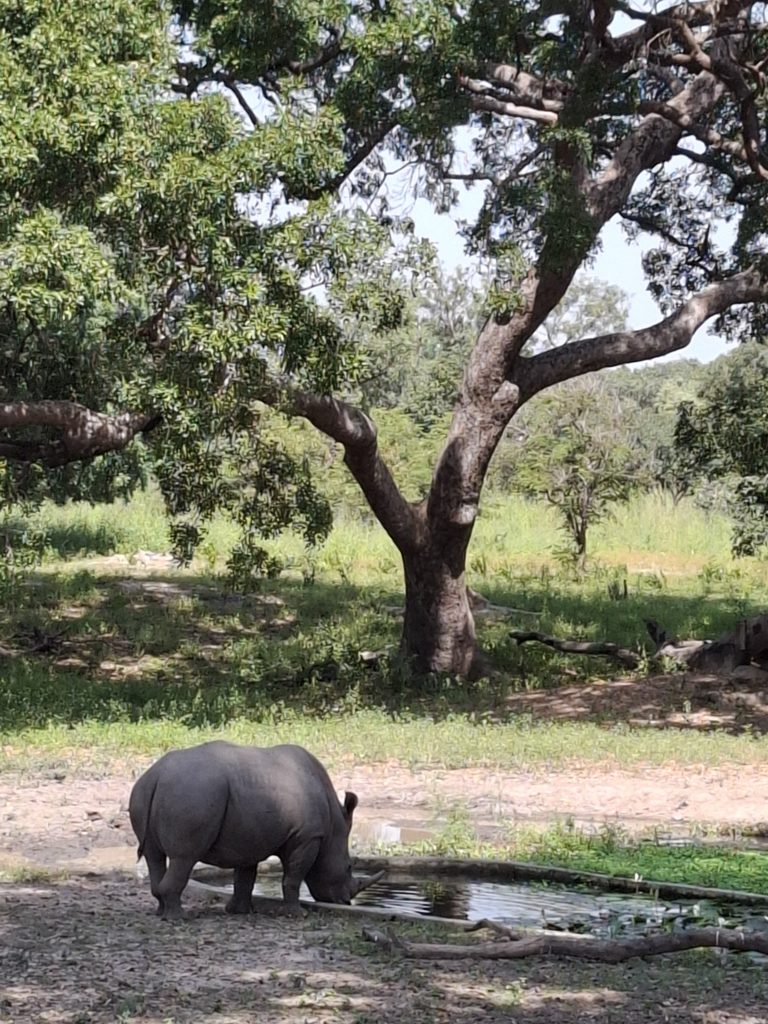 Fathala rahvuspargis, Senegalis