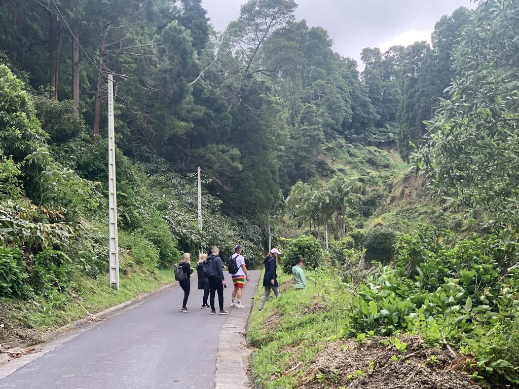 Sao Miguel, Assoorid