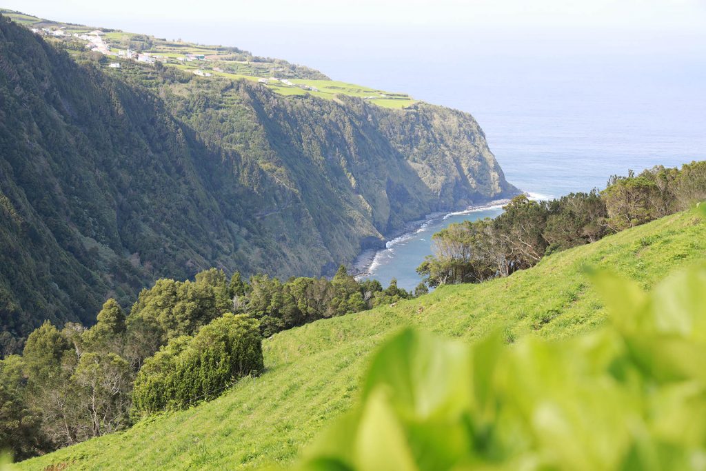 Sao Miguel, Assoorid