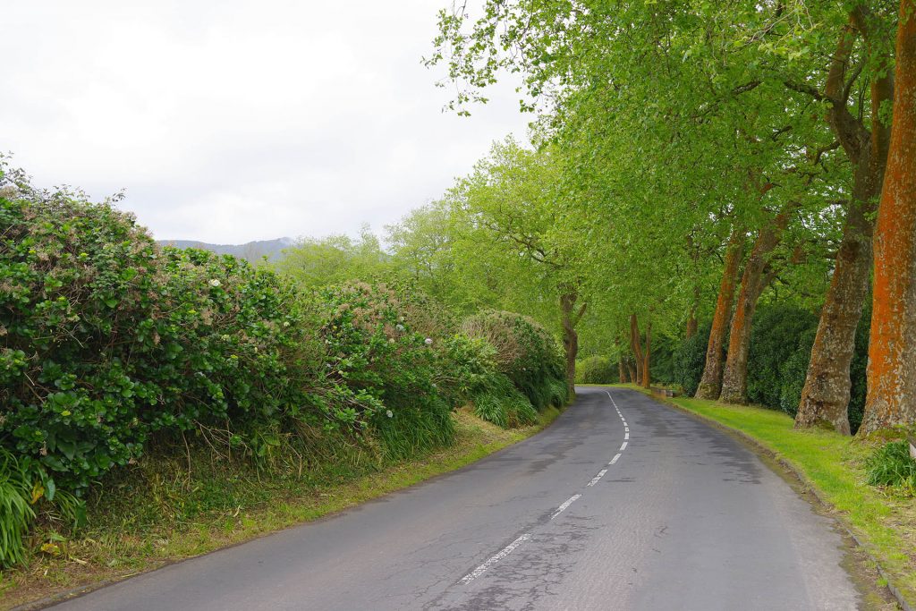 Sao Miguel, Assoorid